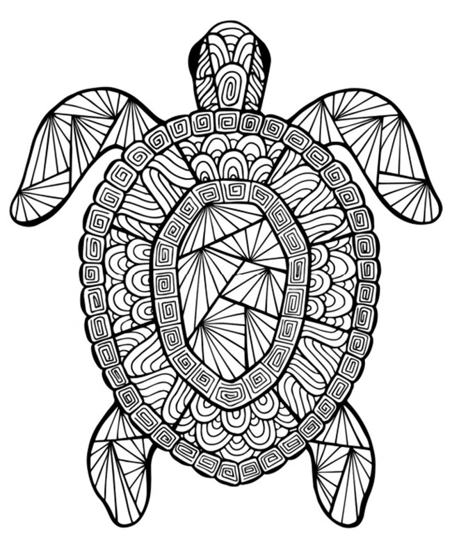 Free Printable Summer Coloring Pages
 12 Free Printable Adult Coloring Pages for Summer