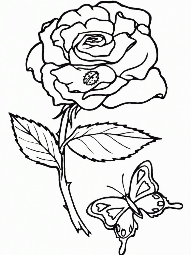 Free Printable Toddler Coloring Pages
 Free Printable Roses Coloring Pages For Kids