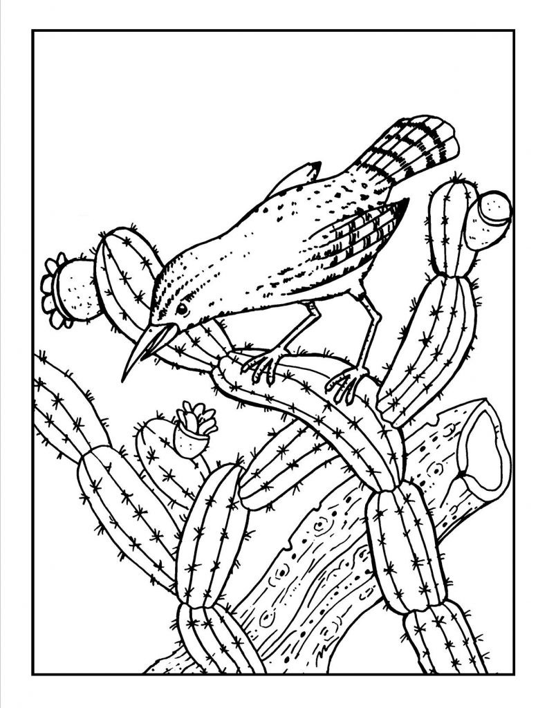 Free Printable Toddler Coloring Sheets
 Free Printable Cactus Coloring Pages For Kids