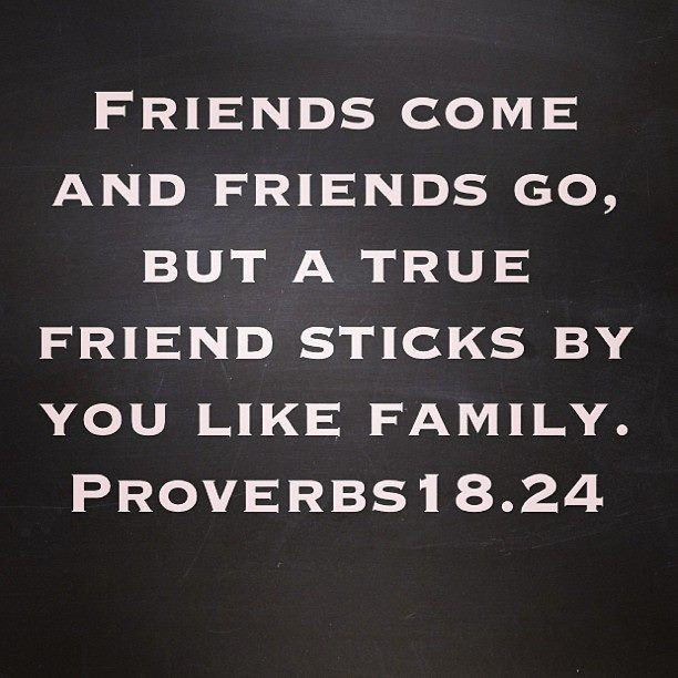 Friendship Bible Quotes
 Bible Quotes About True Friendship QuotesGram