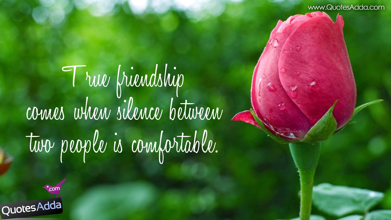 Friendship Quotes Wallpapers
 Best Friend Wallpapers Quotes WallpaperSafari