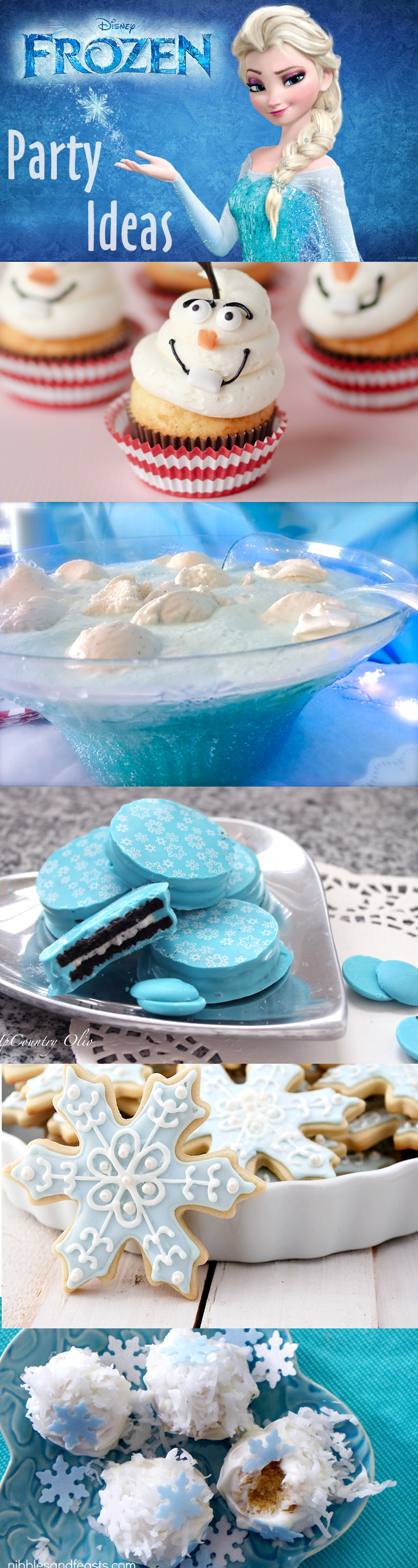 Frozen Party Food Ideas
 Throw a Disney Frozen Themed Party