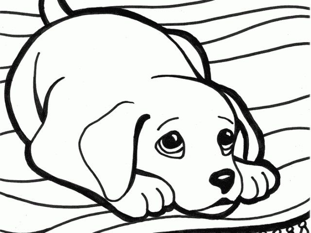 Fun Animal Coloring Pages For Boys
 33 best Dog Coloring Pages images on Pinterest