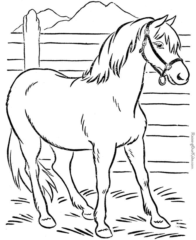 Fun Animal Coloring Pages For Boys
 Animal Coloring Page of Horse to Print