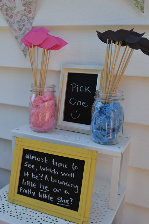Fun Gender Reveal Party Ideas
 25 Gender Reveal Party Ideas C R A F T