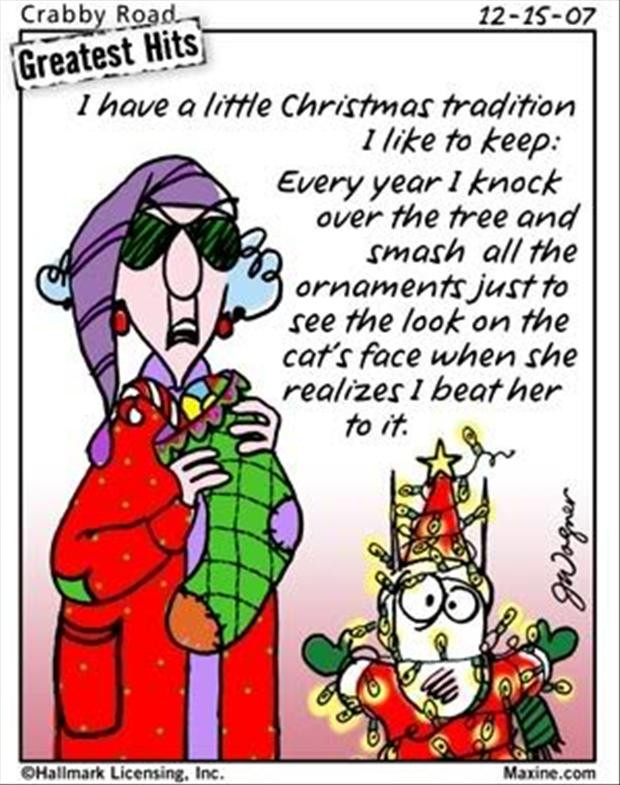 Funniest Quotes About Christmas
 Funny Christmas 30 Pics
