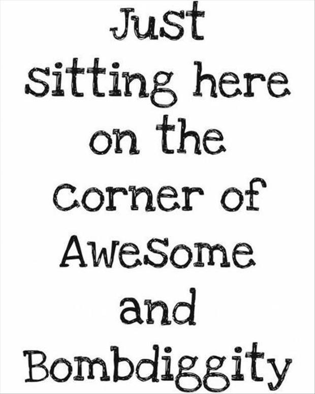 Funny Awesomeness Quotes
 funny quotes sitting on the border of awesome and