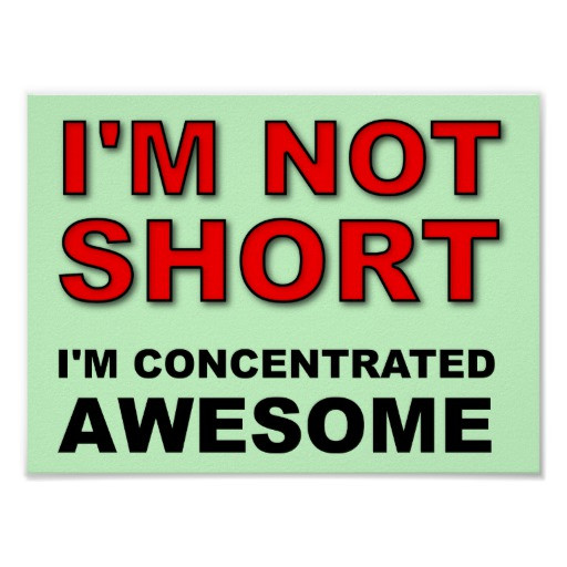 Funny Awesomeness Quotes
 I m Not Short I m Concentrated Awesome Funny Poster