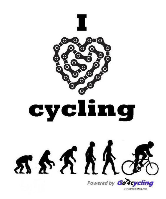 Funny Bicycle Quotes
 Fun quotes Bicycles and Humor on Pinterest