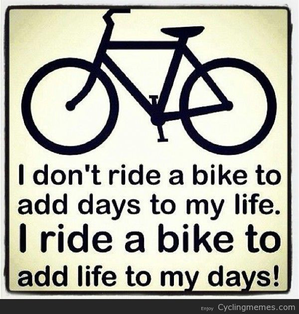 Funny Bicycle Quotes
 48 best Random and funny bike stuffs images on Pinterest