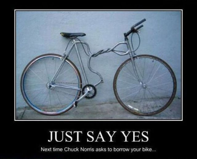 Funny Bicycle Quotes
 Funny Bicycle Quotes QuotesGram