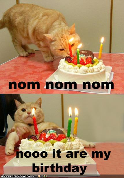 Funny Birthday Cake Pictures
 Funny funny birthday pictures