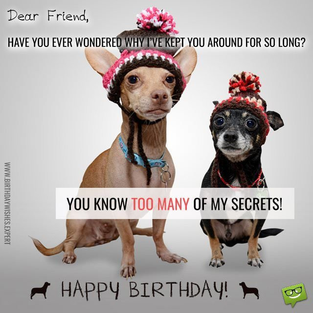 Funny Birthday Pictures For Friend
 Huge List of Funny Birthday Messages Wishes