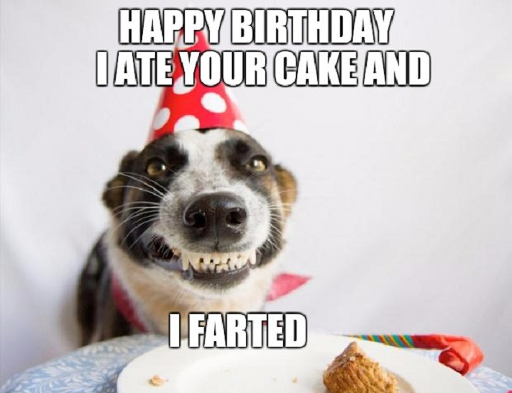 Funny Birthday Pictures For Friend
 70 Funny Birthday Wishes for Best Friend Male Make a