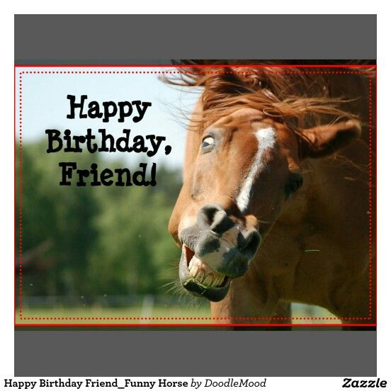 Funny Birthday Wishes For Horse Lovers
 11 best stairs images on Pinterest