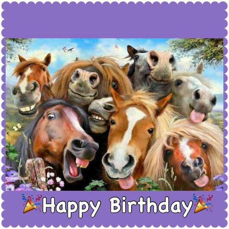 Funny Birthday Wishes For Horse Lovers
 De 34 bedste billeder fra fødselsdagskort på Pinterest