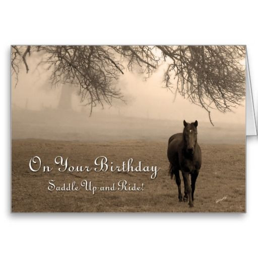 Funny Birthday Wishes For Horse Lovers
 happy birthday horse images