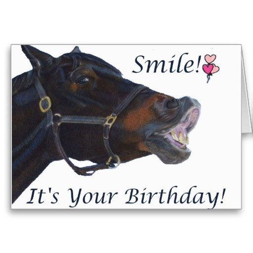 Funny Birthday Wishes For Horse Lovers
 Smile It s your Birthday Greeting Card