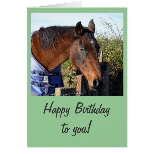 Funny Birthday Wishes For Horse Lovers
 Birthday wishes horse lover