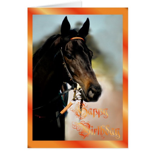 Funny Birthday Wishes For Horse Lovers
 Happy Birthday Horse Birthday card horse lovers