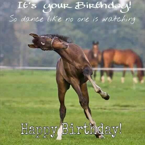 Funny Birthday Wishes For Horse Lovers
 11 best stairs images on Pinterest