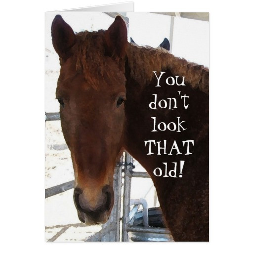 Funny Birthday Wishes For Horse Lovers
 Funny Birthday pliment TWH Horse Western