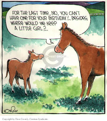 Funny Birthday Wishes For Horse Lovers
 30 best Birthday ics & Cartoons images on Pinterest