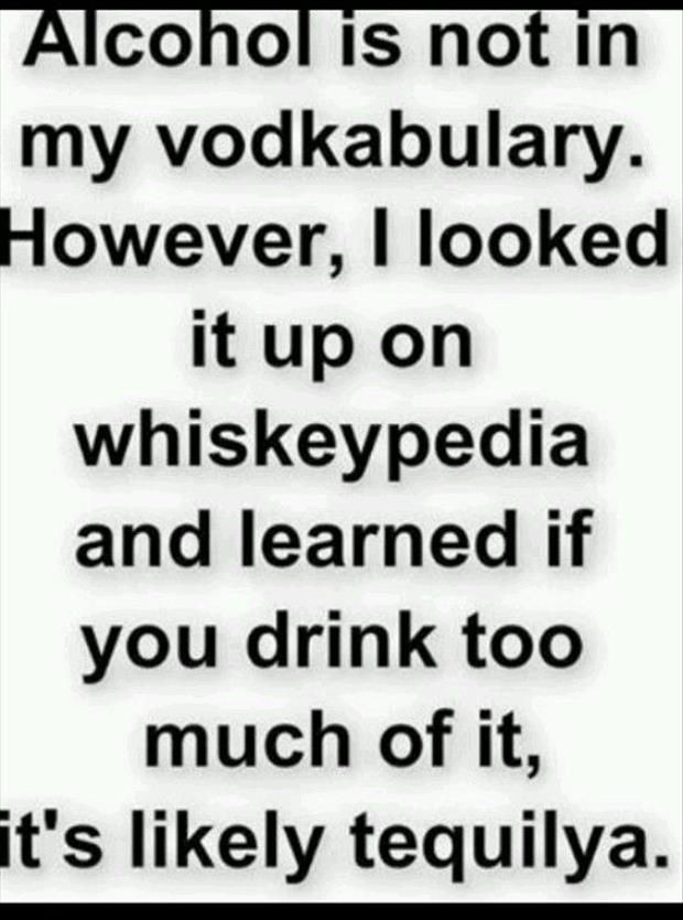 Funny Drinking Quotes
 Funny Alcohol Quotes on Pinterest