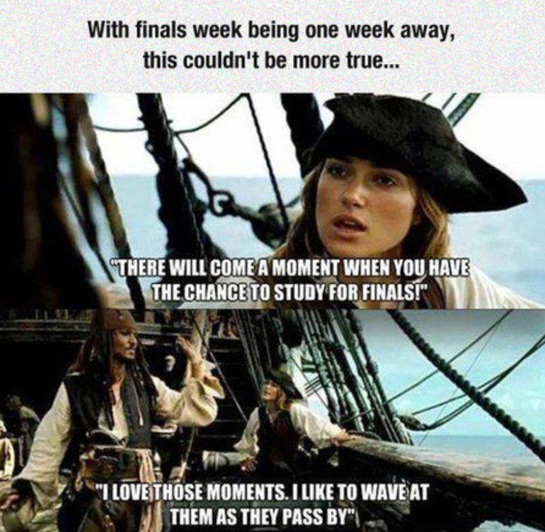 Funny Finals Week Quotes
 Last minute studying for finals Meme by Hoskins464