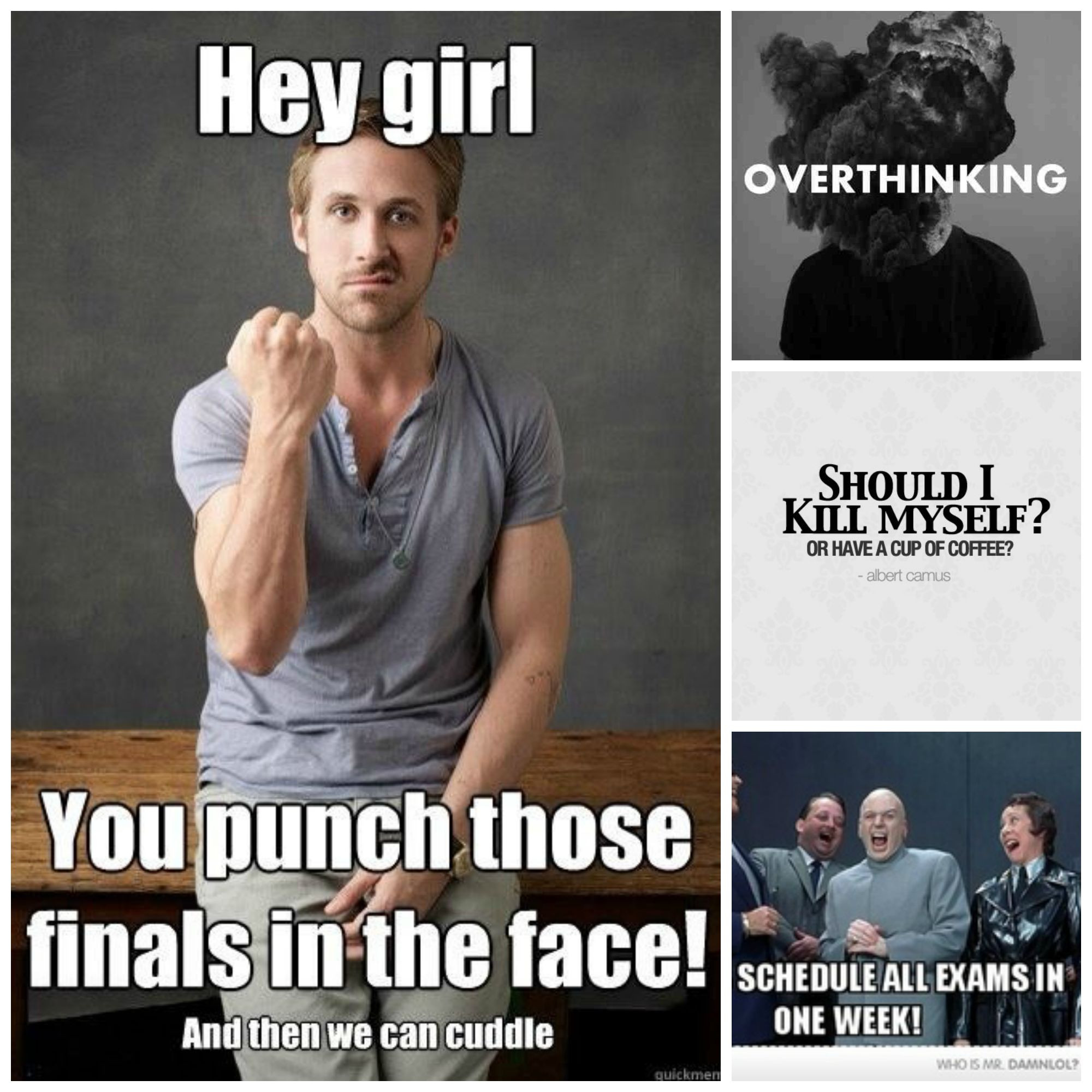Funny Finals Week Quotes
 finals motivation Funny pictures