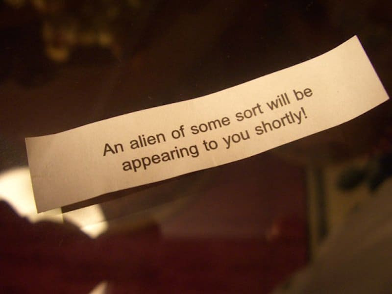 Funny Fortune Cookie Quotes
 20 Funny Fortune Cookie Sayings To Crack You Up