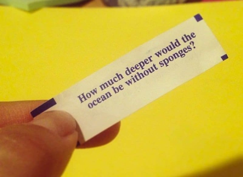 Funny Fortune Cookie Quotes
 20 Funny Fortune Cookie Sayings To Crack You Up