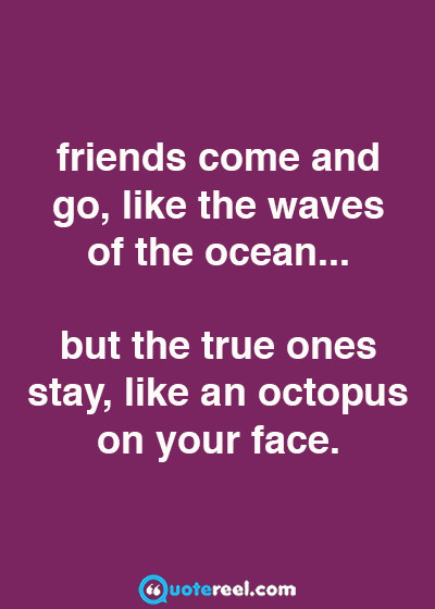 Funny Friends Quotes
 Funny Friends Quotes To Send Your BFF