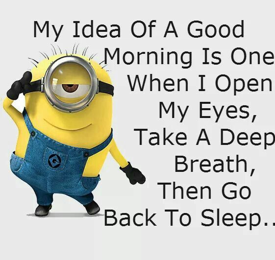 Funny Good Mornings Quotes
 40 Funny Good Morning Quotes and Sayings Freshmorningquotes