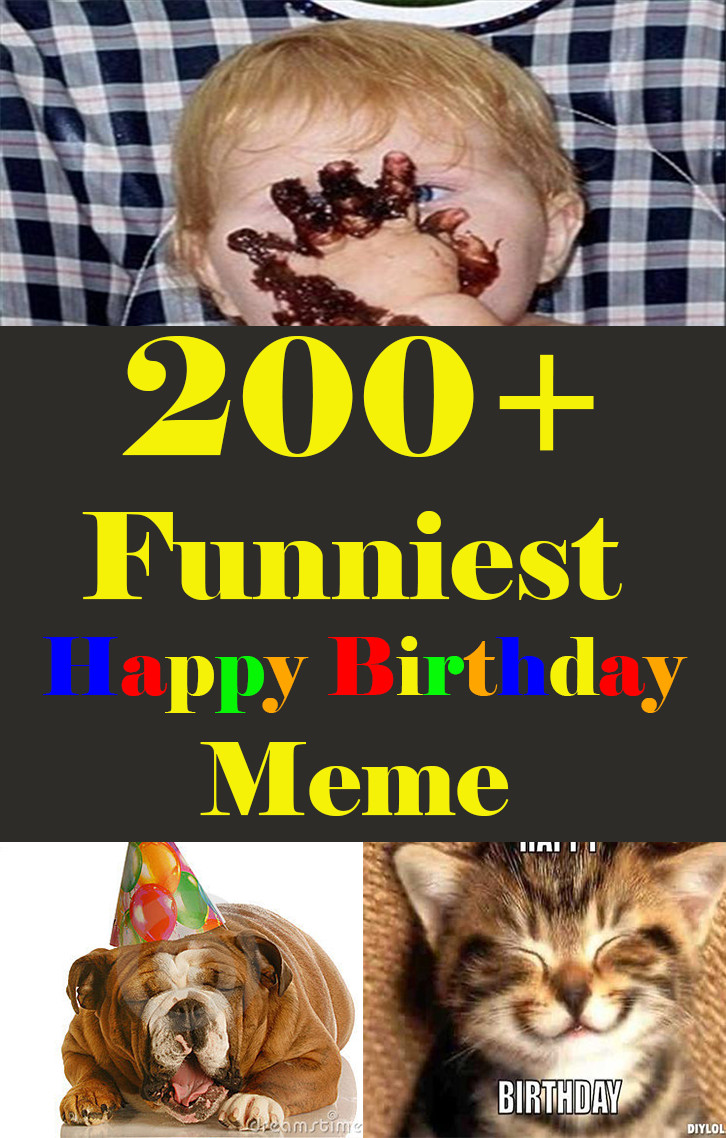 Funny Happy Birthday Photo
 200 Funniest Birthday Memes for you Top Collections