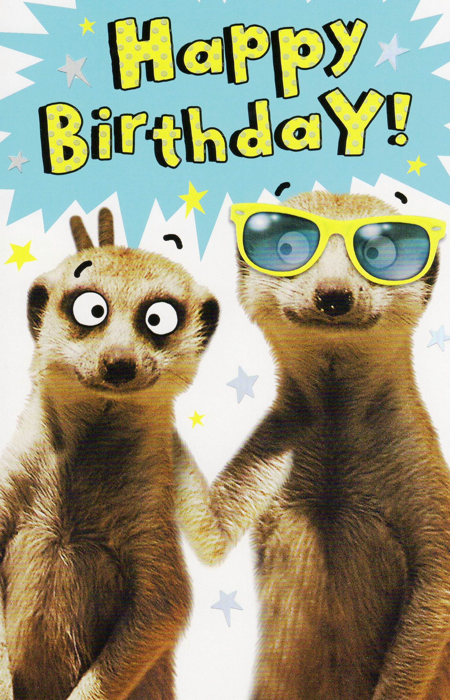 Funny Happy Birthday Photo
 Funny Meerkat Happy Birthday Card Humour Greeting Cards