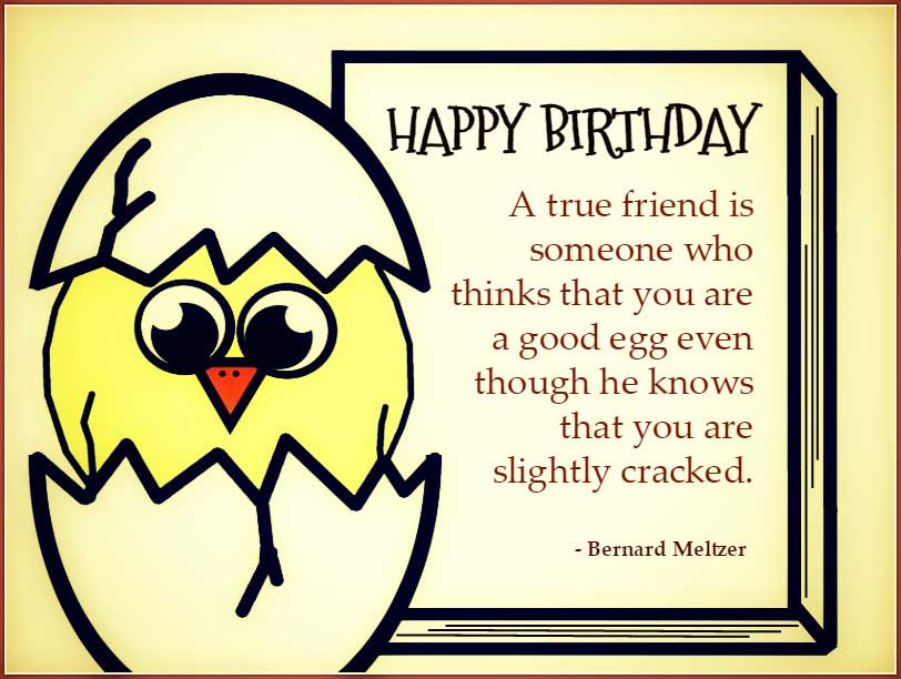 Funny Happy Birthday Quotes For Friends
 Best Friend Birthday Quotes Quotes and Sayings