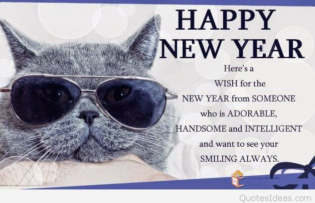 Funny Happy New Year Quote
 Funny Happy New Year Messages Quotes Pics 2016