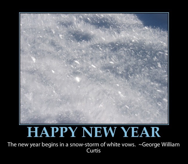 Funny Happy New Year Quote
 New Year Quotes and Fun