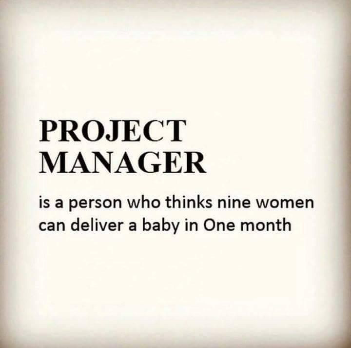 Funny Manager Quotes
 18 best Project Management Humor images on Pinterest