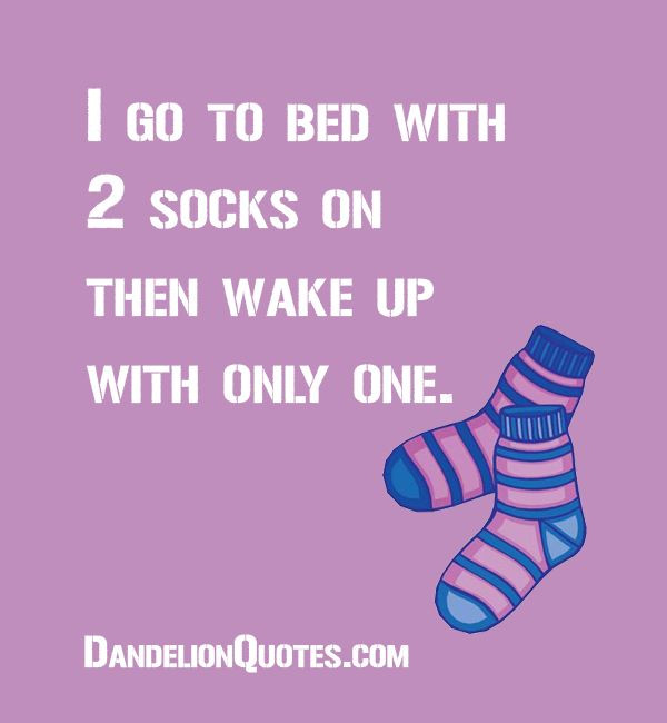 Funny Quotes About Socks
 224 Best images about Funny Quotes on Pinterest
