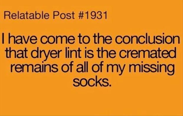 Funny Quotes About Socks
 funny socks dryer lint quotes Dump A Day