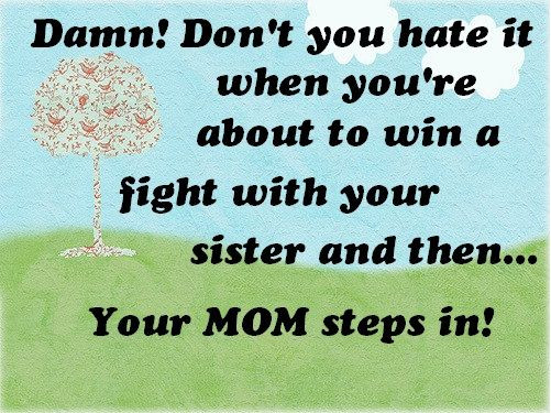 Funny Quotes For Sisters
 31 best images about Funny Sister Quotes on Pinterest