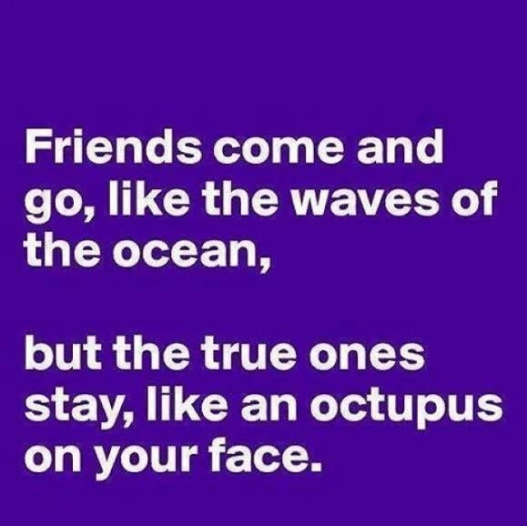 Funny Quotes From Friends
 Best and Funny Friendship Quotes ly for best friends