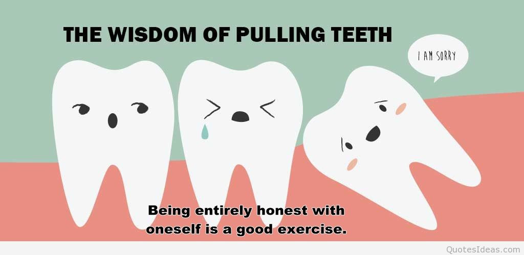 Funny Teeth Quotes
 Funny Quotes About Teeth QuotesGram