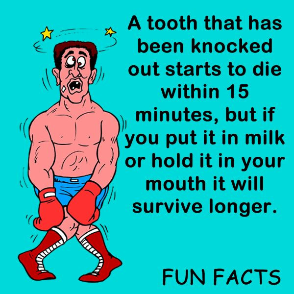 Funny Teeth Quotes
 Teeth Dental Funny Quotes QuotesGram