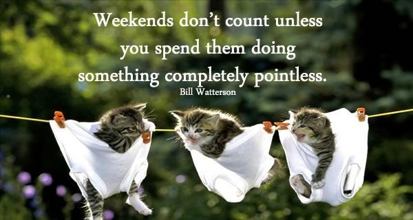 Funny Weekend Quotes
 100 Happy Weekend Quotes and Sayings with