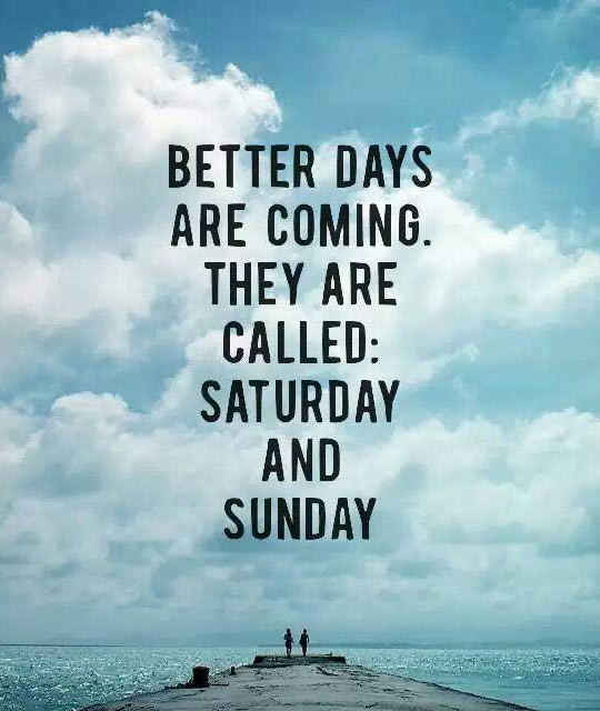 Funny Weekend Quotes
 Some funny Weekend Quotes WorthvieW