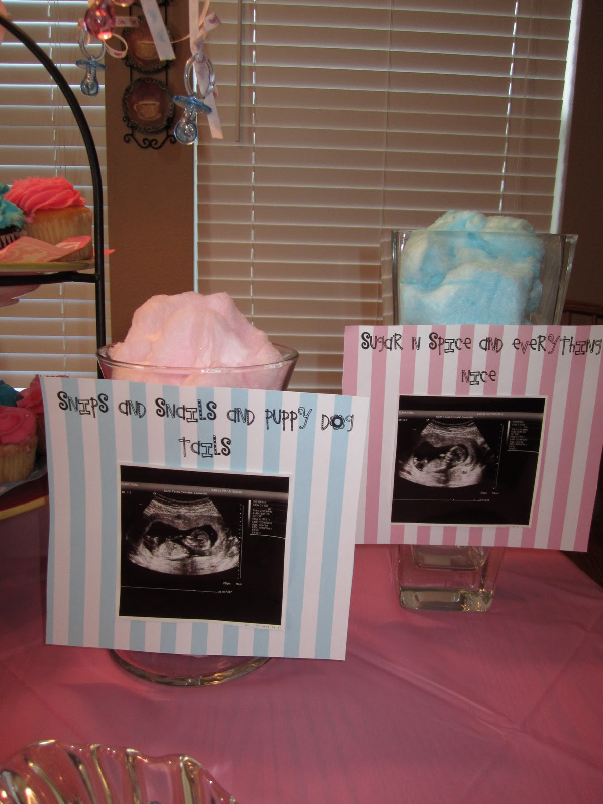 Gender Party Reveal Ideas
 The Furr Five Gender Reveal Party