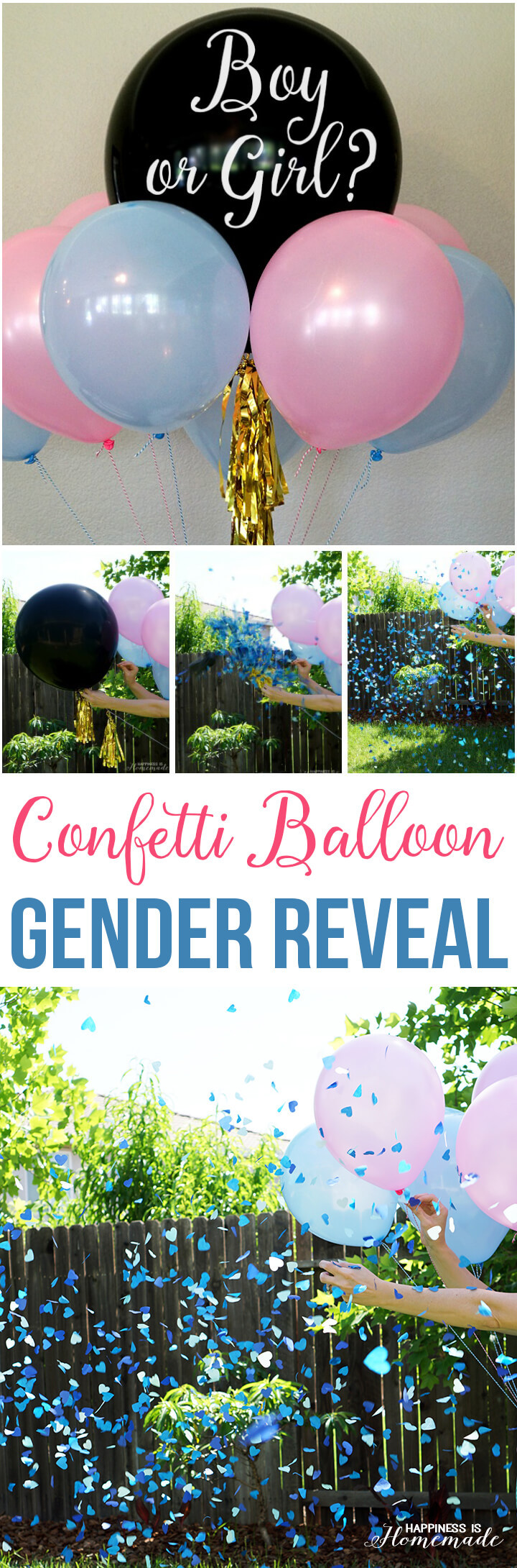 Gender Reveal Party Theme Ideas
 Baby Gender Reveal Party Ideas Happiness is Homemade